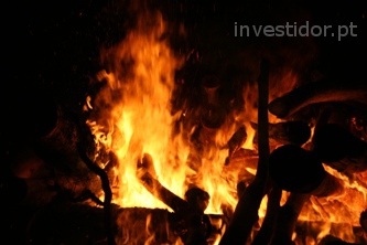 Riscos específicos do investimento em Florestação