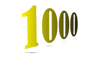 Gostava de ter 1000 visitantes diários no meu site