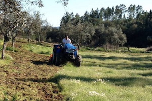 Ideias para investir na agricultura