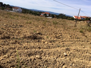 terreno-agricola